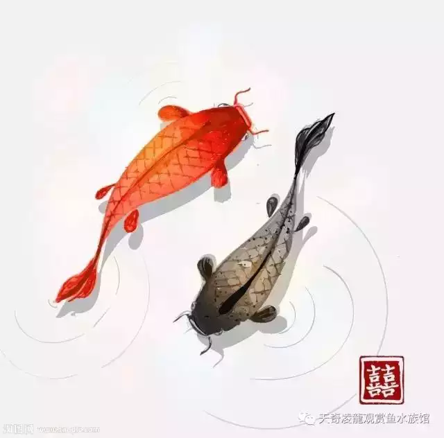 022年下半年最倒霉的生肖,2022年最倒霉的生肖女"