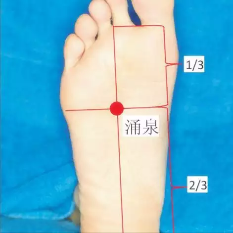 991年屬羊壽命多長，屬羊男的平均壽命"