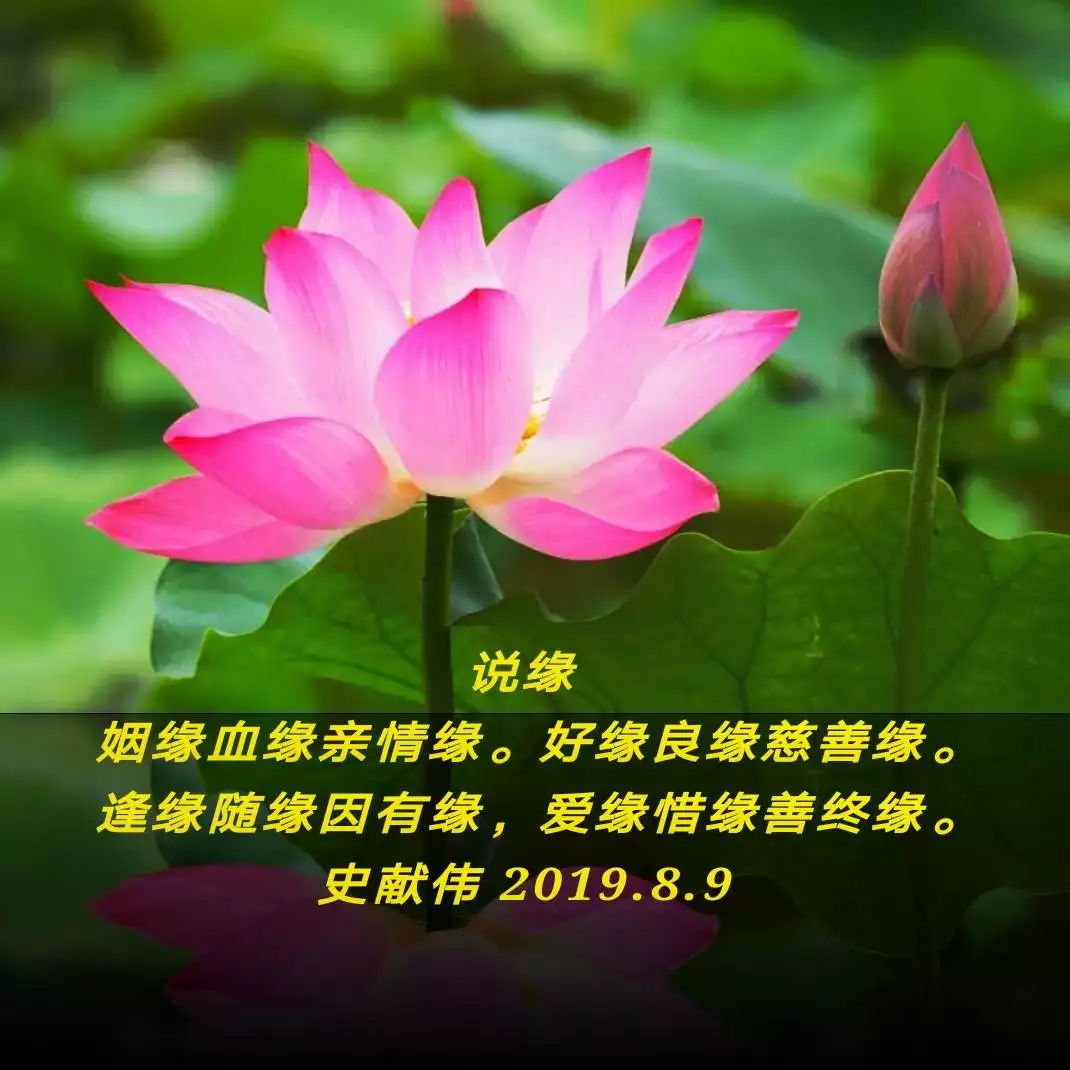 2、有緣是代表什麼的意思:有緣有故是什麼意思