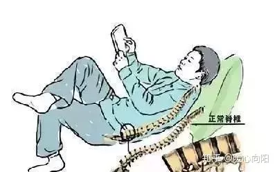 4、腰間盤突出正確睡姿圖:腰間盤突出正確的站、坐睡、走姿