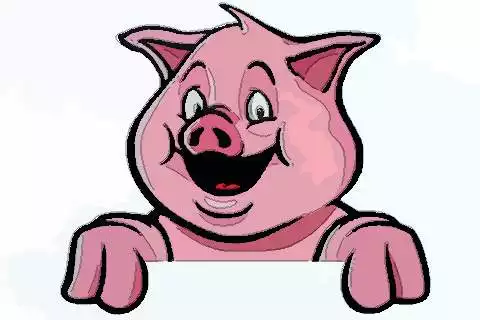 1、属猪人6月份运势如何:属猪人年运势运程每月运程