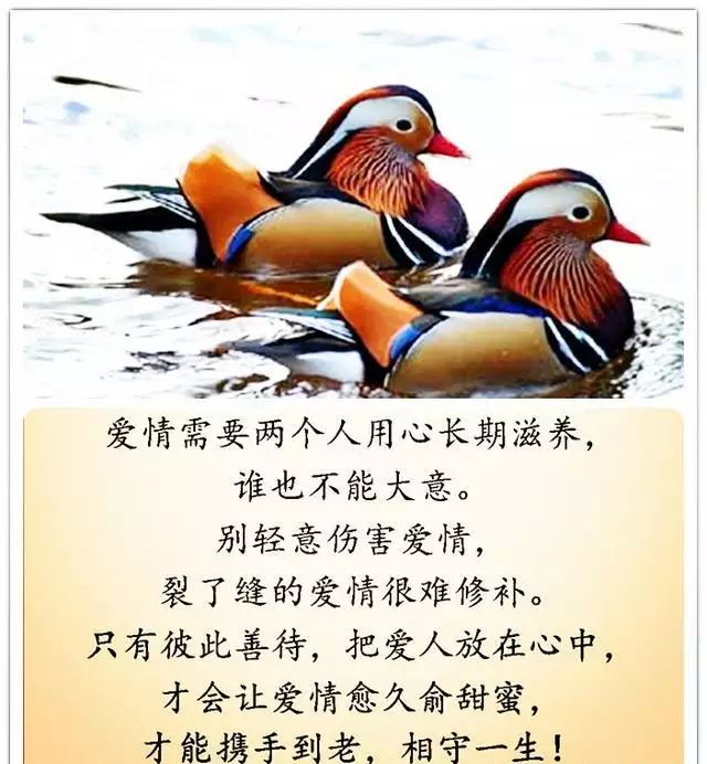 1、什麼才算是緣分呢:什麼是緣分??怎樣才能算緣分??