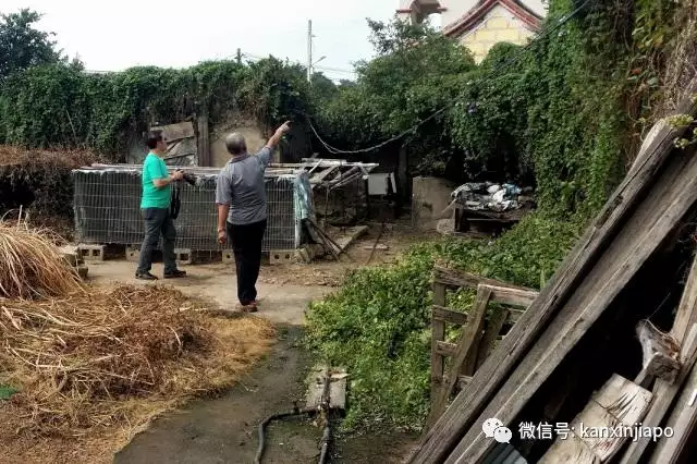 991年暴羊出世殺紅龍，暴羊出世斬斷紅龍完整"
