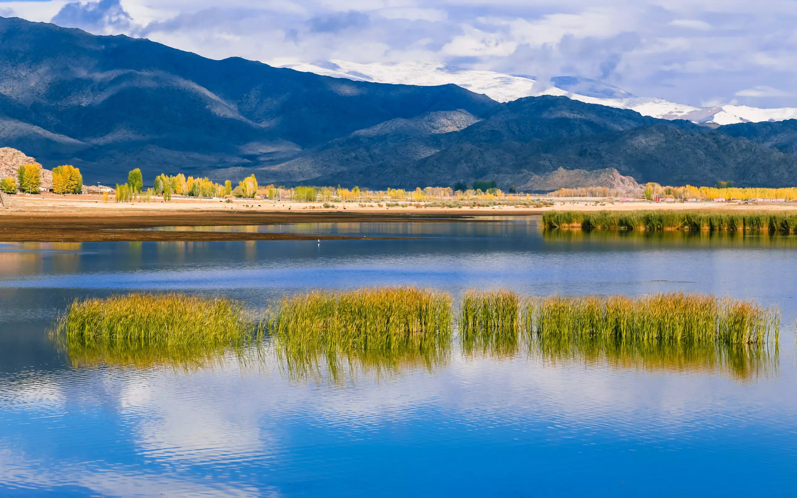 5、您好，请问上香一把香点上都好好的，就是有一根香到根部突然就是黑的了是咋回事希望你可以回答我谢谢