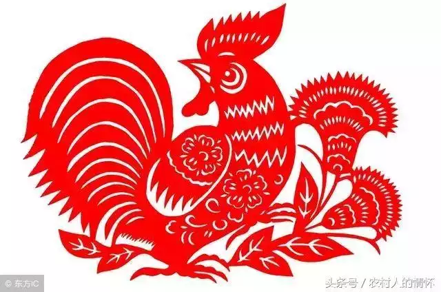 属虎农历几月出生命更好，2022年生虎备孕表