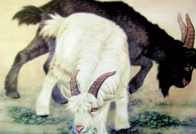 屬羊的都有哪年出生的，生肖屬羊是哪一年出生的