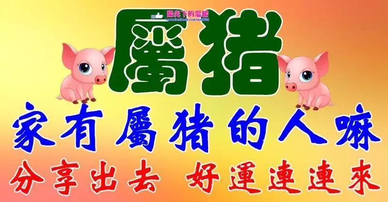 属马人婚配什么属相好：属马的人和什么属相的人结婚最好