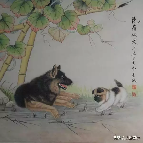 屬羊和雞生什麼屬相寶寶好，雞和羊生什麼屬相更好