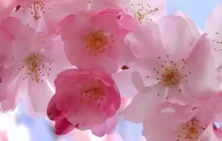 属虎的正缘在哪年出现，测正缘出现的准确时间