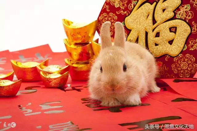 022年兔人运程1987，87年属兔后半生婚姻"