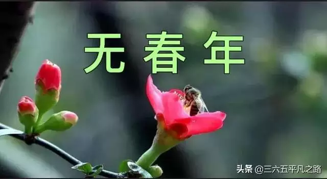 寅辰年是哪一年属什么 寅辰年是哪一年属什么