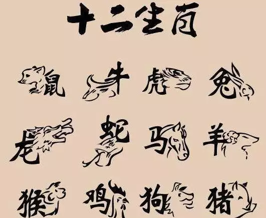 屬馬的出生年月日，屬馬是哪年出生的歲數