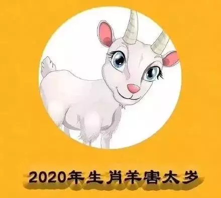 4、属鼠人羊年运势:属鼠人年运势？属老鼠的人在羊年的运程？