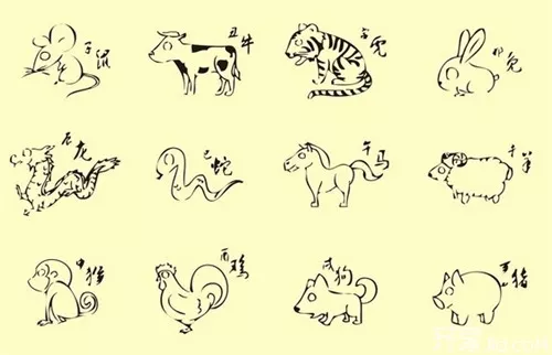 4、属狗和属属猪相配吗:属猪和属狗相配吗