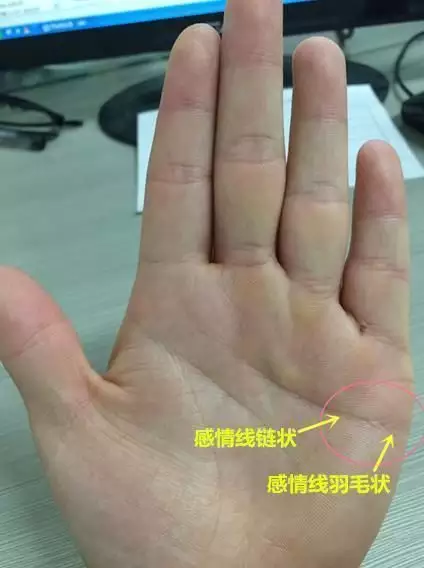 3、愛情線是哪條在手上是哪條線?:男的看手相應該是哪只手？哪條是生命線哪條是愛情線？
