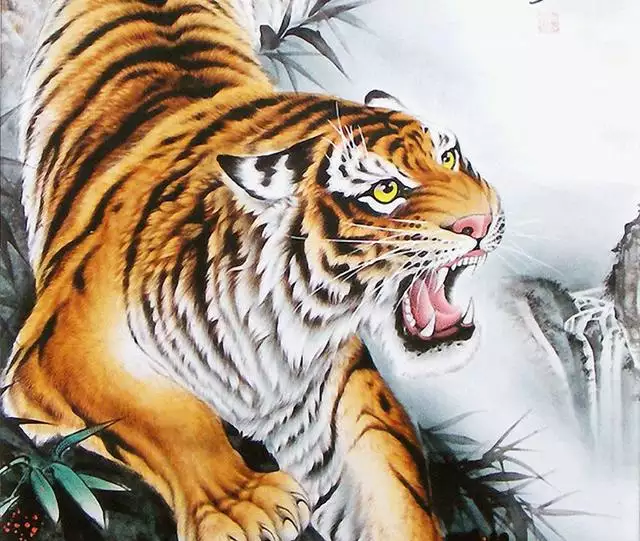 屬虎的人適合在哪裡發展，火虎木龍合適嗎