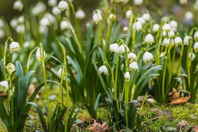 022年下半年运势极好的星座，2022年上半年星座运势视频"