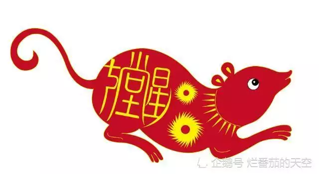 7、数猪和数鼠要什么属相小孩好:母亲属猪孩子属鼠好吗