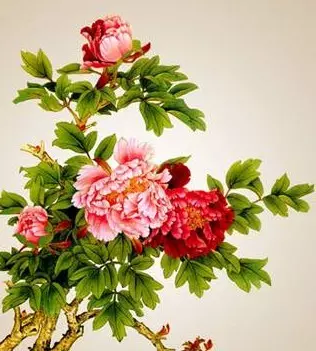 3、夫人命中帶桃花是什麼生肖:命帶桃花的生肖是哪個？