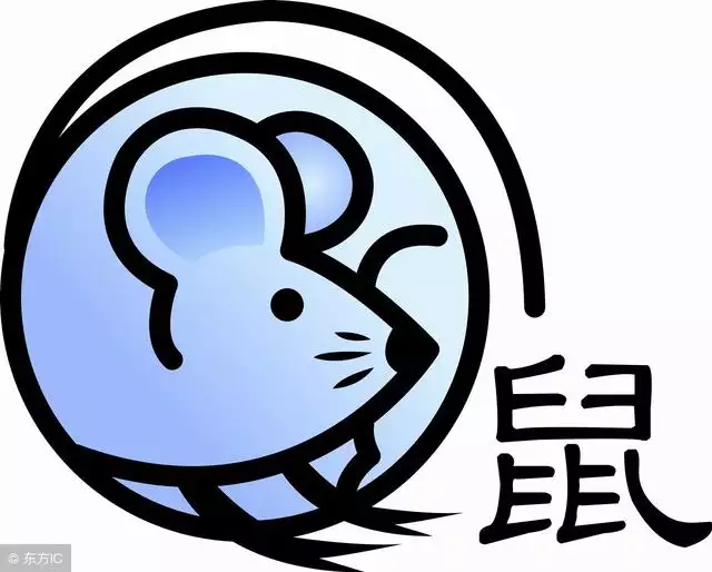 4年金鼠命到底好不好，米達料到底好不好"