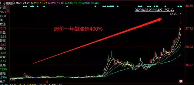 屬羊的為什麼不受待見，為什麼相親都不找屬羊的