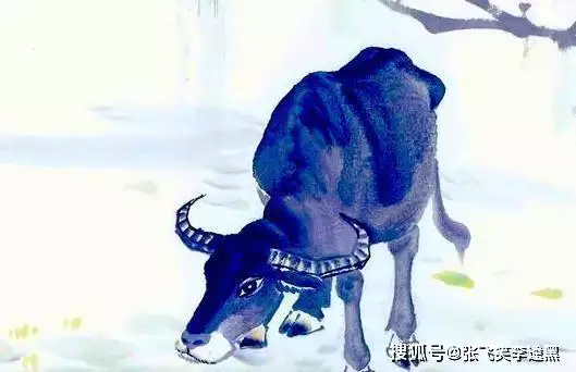 2生肖下半年运势完整版，2022