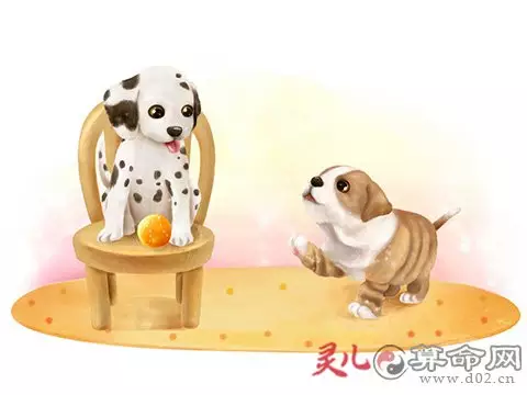 1、属狗在年6月运势:年属狗的人年每月运势