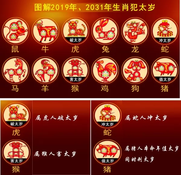 5、年的属相是属什么的:年属于什么生肖啊？