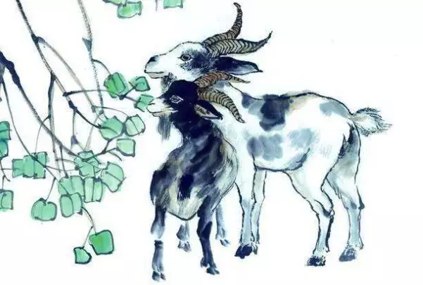 7年屬羊54歲命中註定,67年屬羊人50歲后要注意什麼"