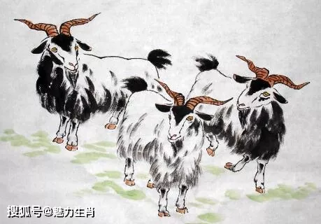 屬羊和屬蛇做生意合不合財，1979年羊人42歲后命運財運