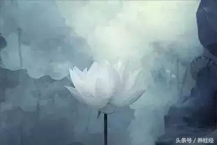 0歲開始有錢的生肖女，12生肖什麼時候開始的"