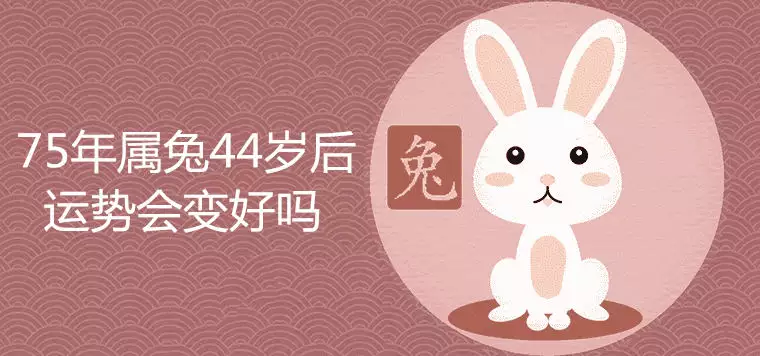 1、75年女兔在年运势:年年属兔人的全年运势