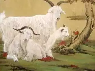 都說十羊九不全什麼意思，十兔九不全是什麼意思