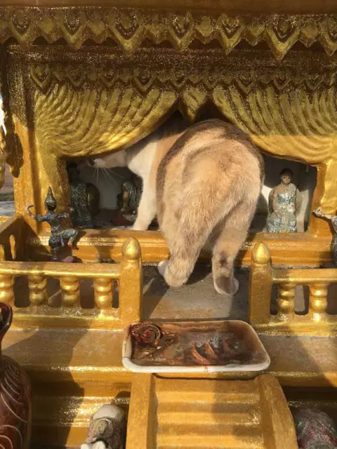 1、运气不好常去走走:运气不好去烧香能不能转运