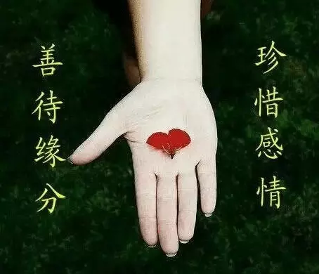 3、夫妻比劫是什麼意思:夫妻比劫越來越親什麼意思