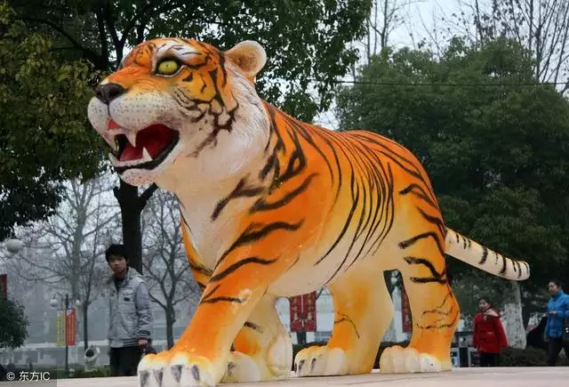 986属虎人一生的财运如何，1986年属虎人2022