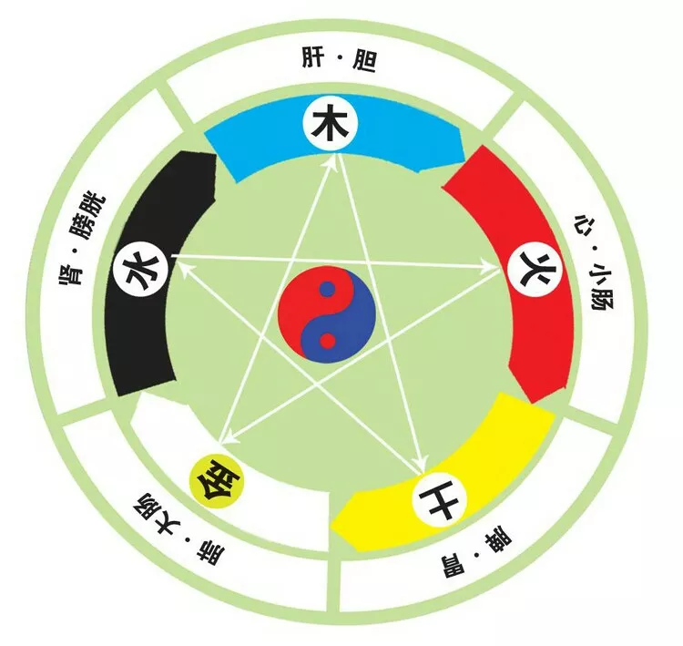 人体五行对应关系:人体与五行的对应关系