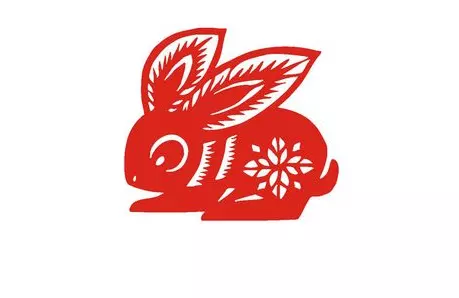 2、猴年属兔的人的运势:猴年会不会给属兔子带来好运气