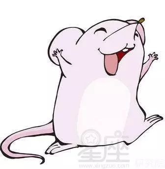 5、一六年属鼠的运势:年属鼠的运势