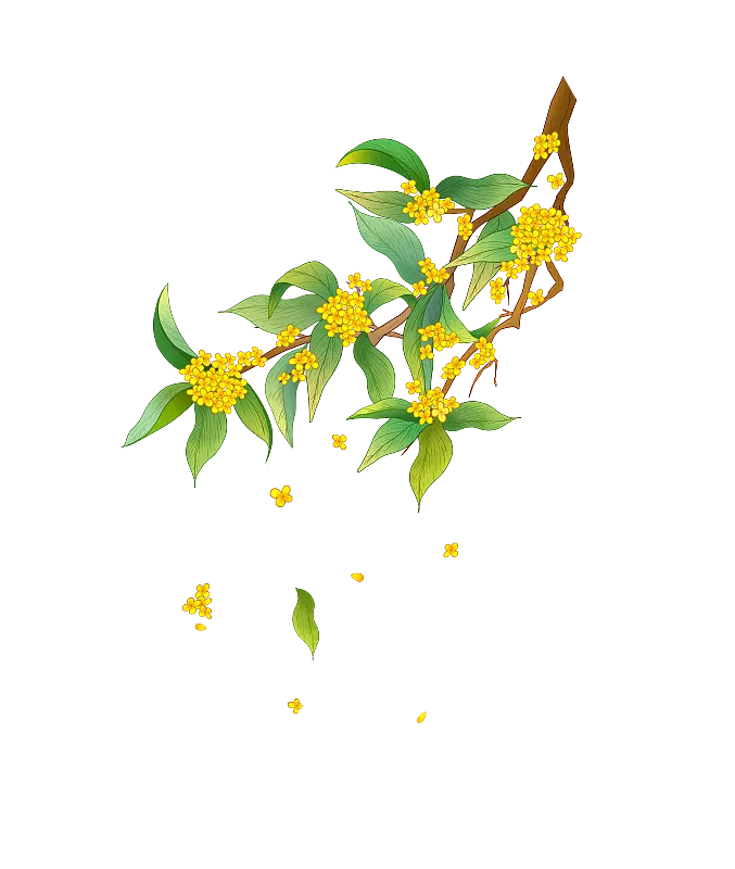 010年屬虎五行缺什麼