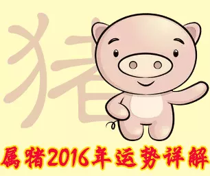 屬豬女2022年全年運勢詳解，83年屬豬女2022 年每月運勢