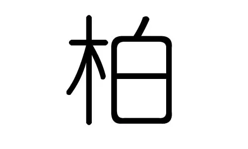 子的五行属什么