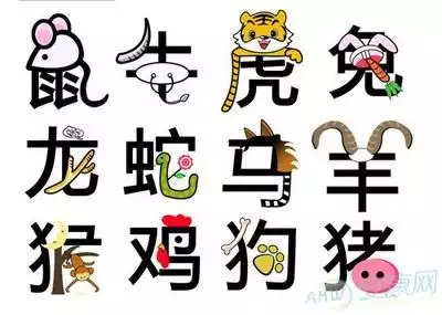 十二生肖下半年運勢，生肖鼠2022 年下半年運勢