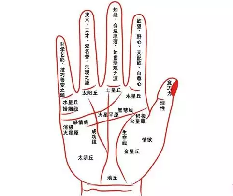 1、陶白白每周运势怎么看:如何看待年轻人沉迷星座运势的现象？