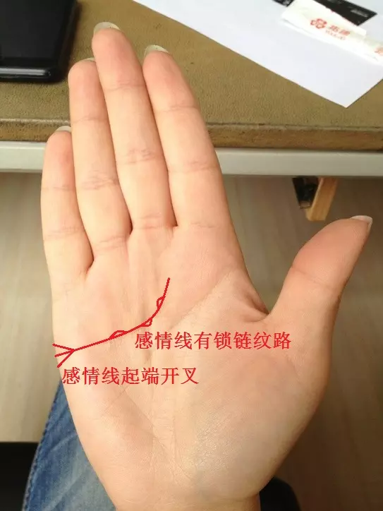 4、姻缘线怎么看手相?:掌纹中的婚姻线怎么看?