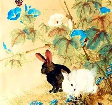 屬兔哪日出生是上等之命，1987年屬兔命中三劫