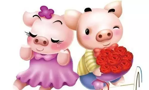 1、属猪年爱情运势:年运势的生肖