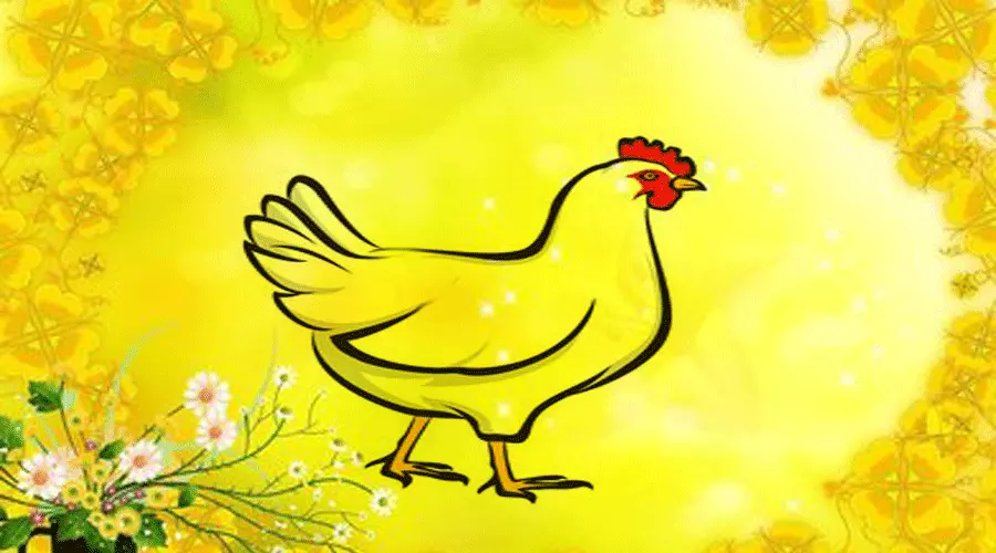 2、父母属鸡的和什么属相最配:父母属鸡生什么属相的宝宝好