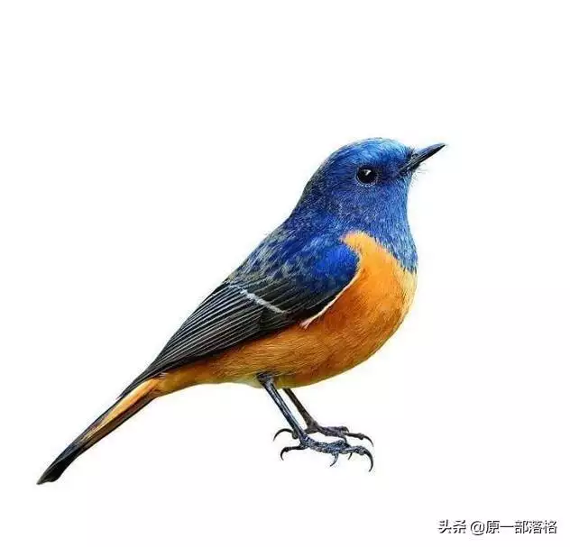 未來三個月運勢,最近三個月運勢免費算