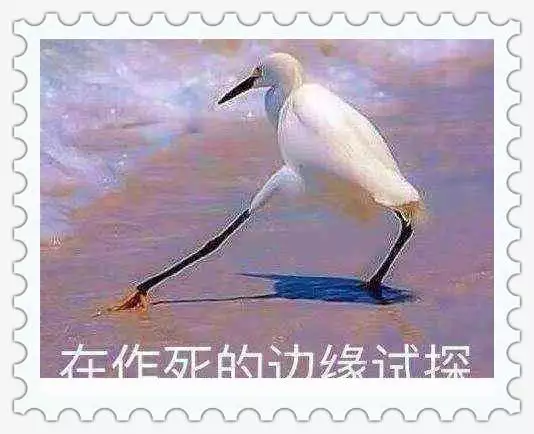 003年羊男好不好，2003屬羊男一生大坎"